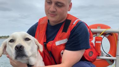 Coasties rescue man, boy, dog after boat capsizes