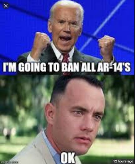 biden-ban ar14s