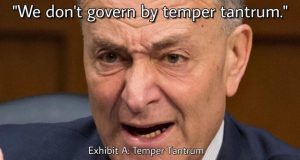 Chuck Schumer’s hot microphone comments