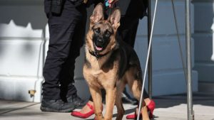 Some action on barracks? Maybe