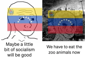 Venezuelan fighter jets provocatively flew  near US Navy ship