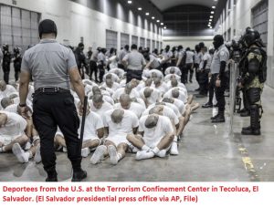 Obama appointed judge orders halt to Kilmar Abrego Garcia’s deportation to Uganda proceedings